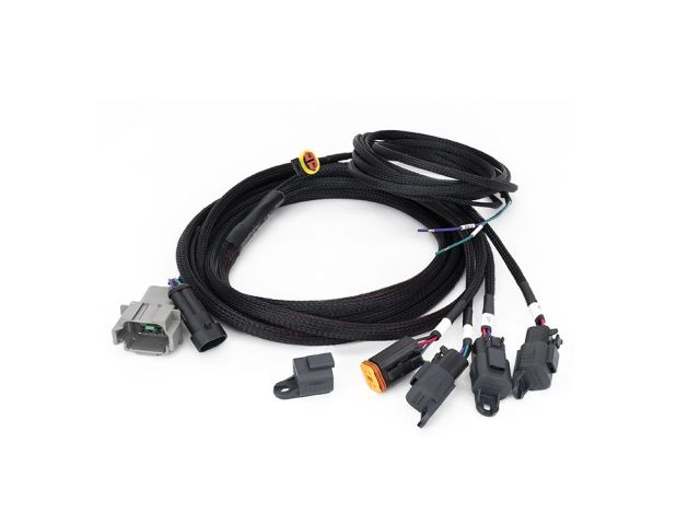Lazer Lamps Four Lamp Harness Kit for Carbon-6